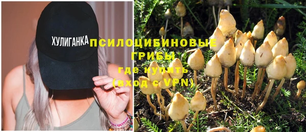 герыч Арсеньев