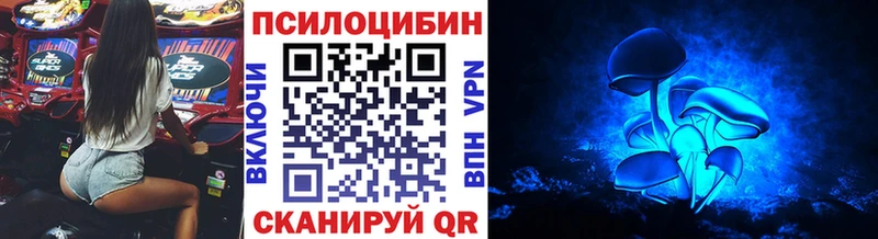 где купить наркотик  KRAKEN как войти  Галлюциногенные грибы Cubensis  Сухиничи 